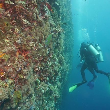Sea World Club Beach Resort & Dive Center Maumere Zewnętrze zdjęcie
