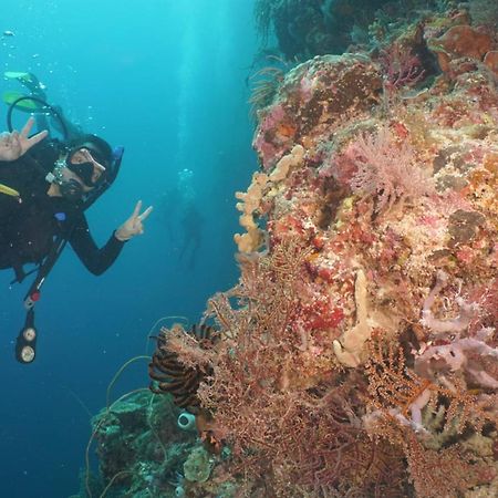 Sea World Club Beach Resort & Dive Center Maumere Zewnętrze zdjęcie