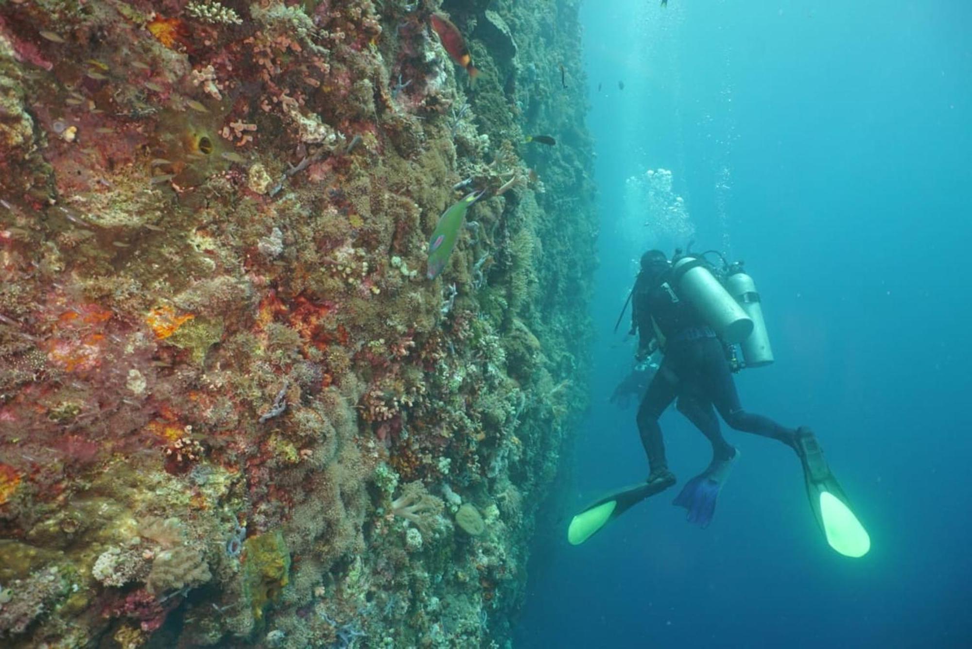 Sea World Club Beach Resort & Dive Center Maumere Zewnętrze zdjęcie