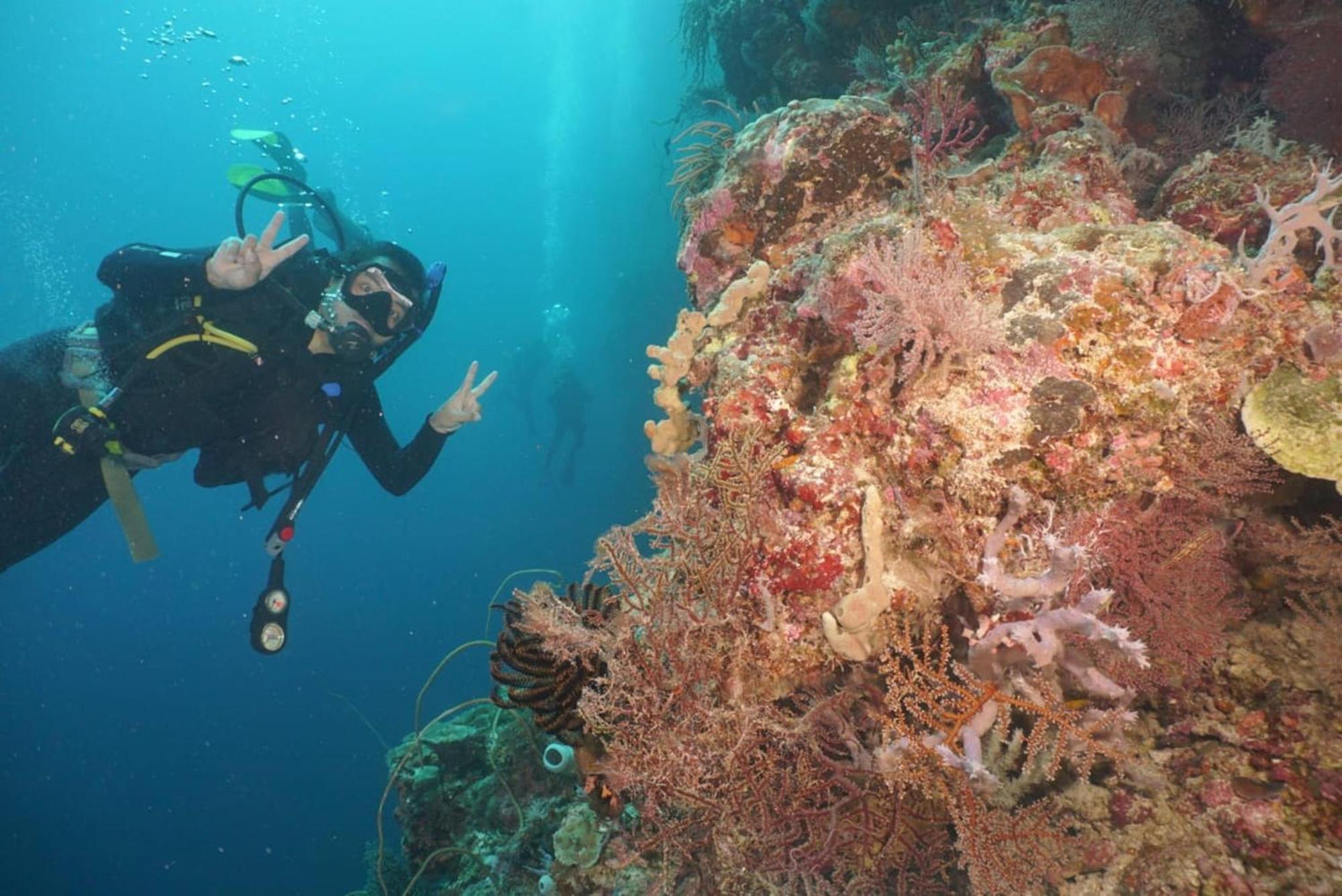 Sea World Club Beach Resort & Dive Center Maumere Zewnętrze zdjęcie