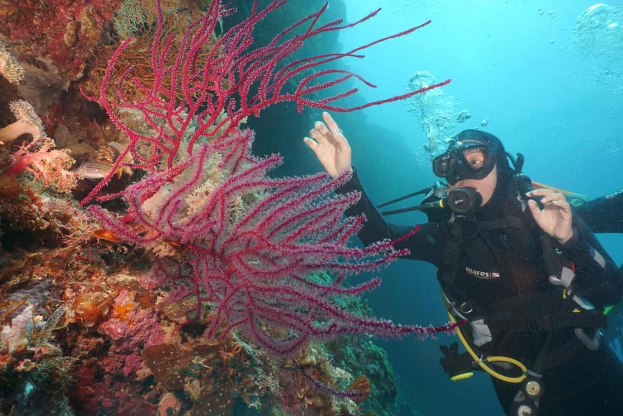Sea World Club Beach Resort & Dive Center Maumere Zewnętrze zdjęcie