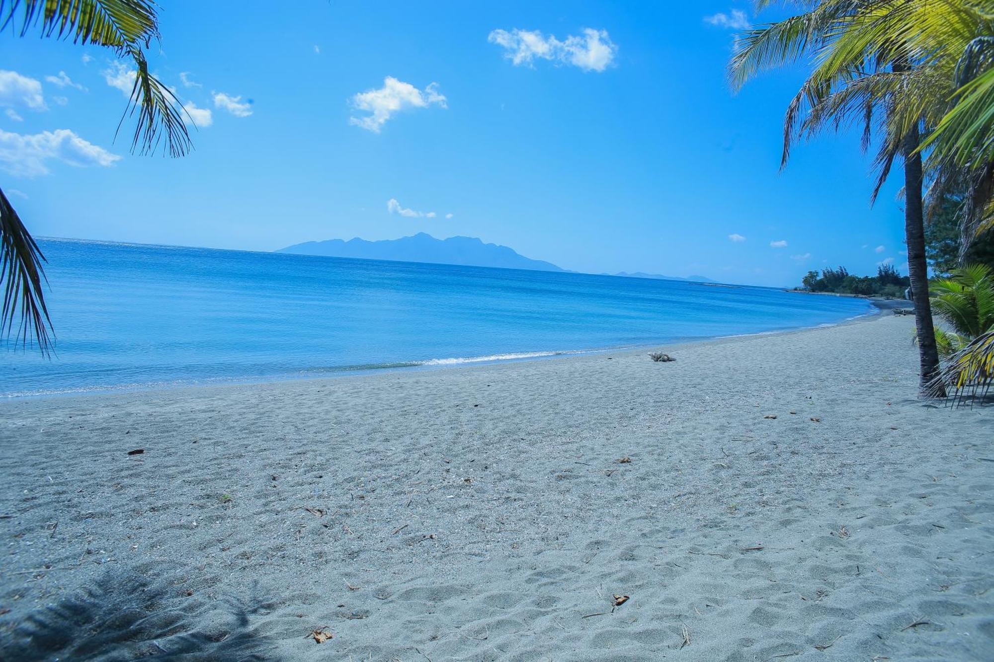 Sea World Club Beach Resort & Dive Center Maumere Zewnętrze zdjęcie